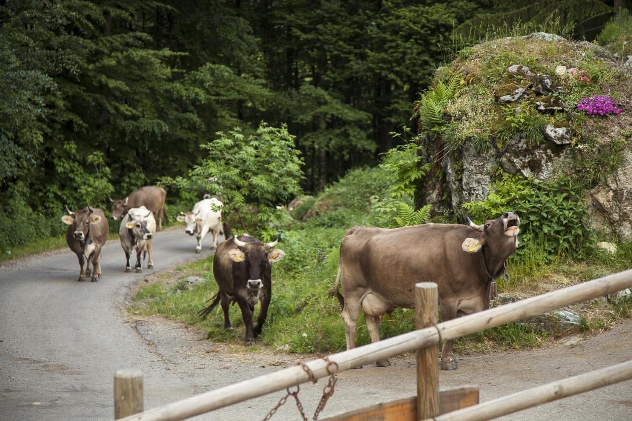 Agriturismo Alagna Екстериор снимка