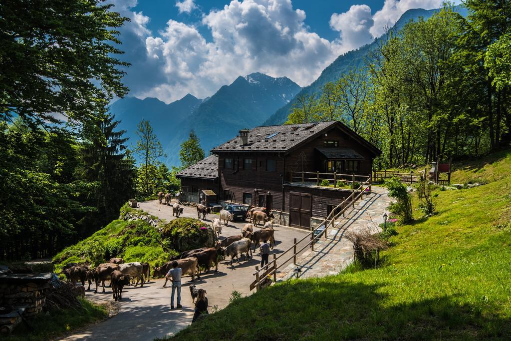 Agriturismo Alagna Екстериор снимка