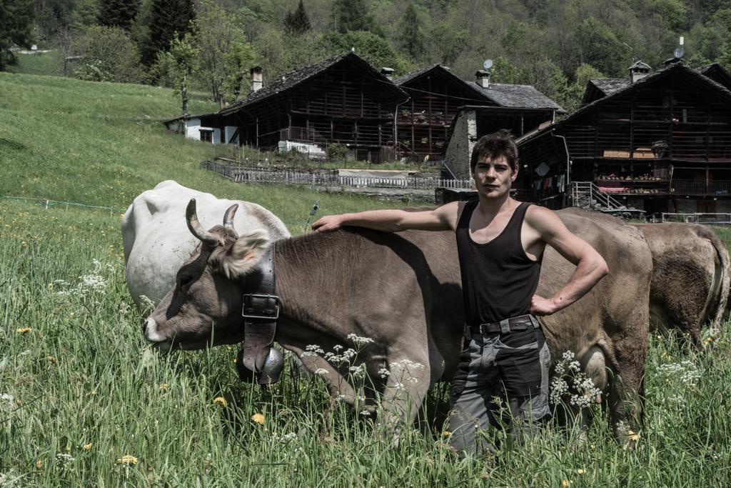 Agriturismo Alagna Екстериор снимка